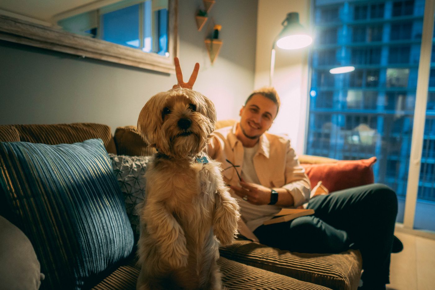 A person seated with a dog on a living-room sofa.