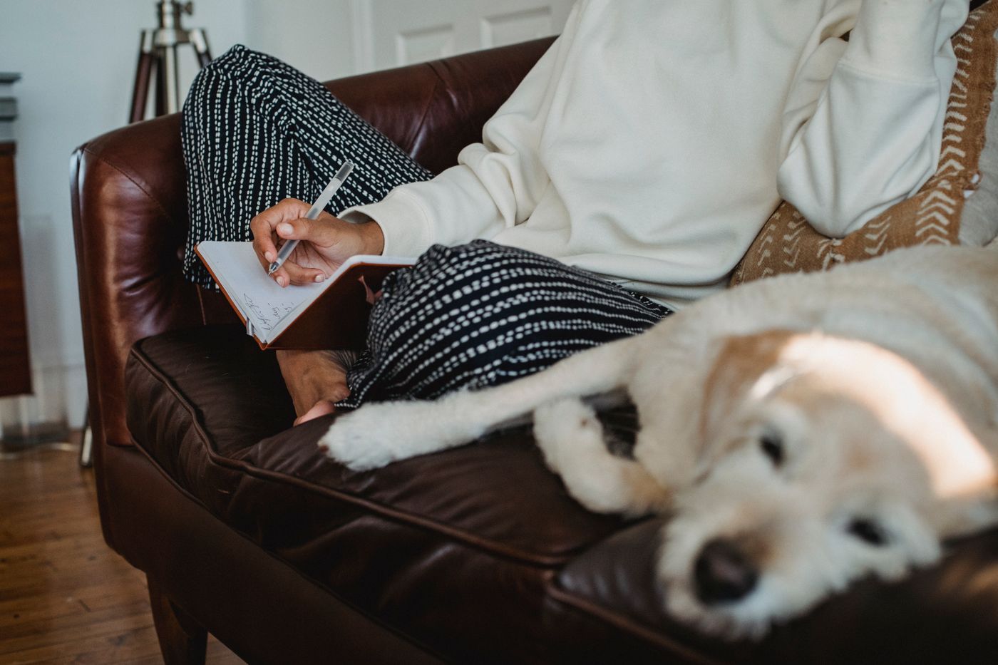 A person writing notes beside a dog resting on a sofa.