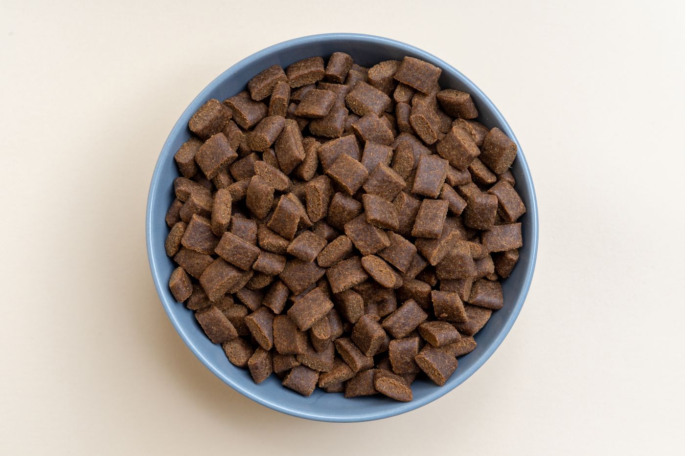 A separate blue bowl holding dry dog food.