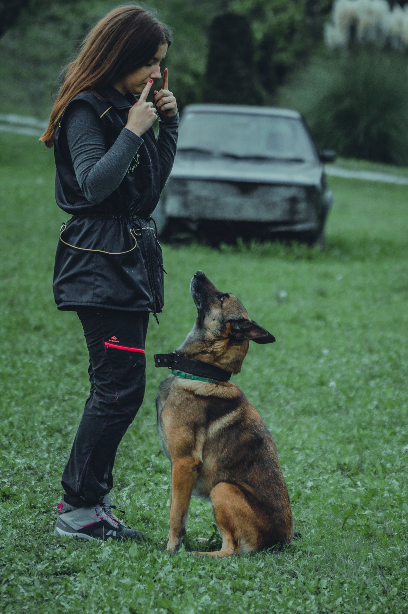 A dog sitting attentively beside a person practising outdoors.