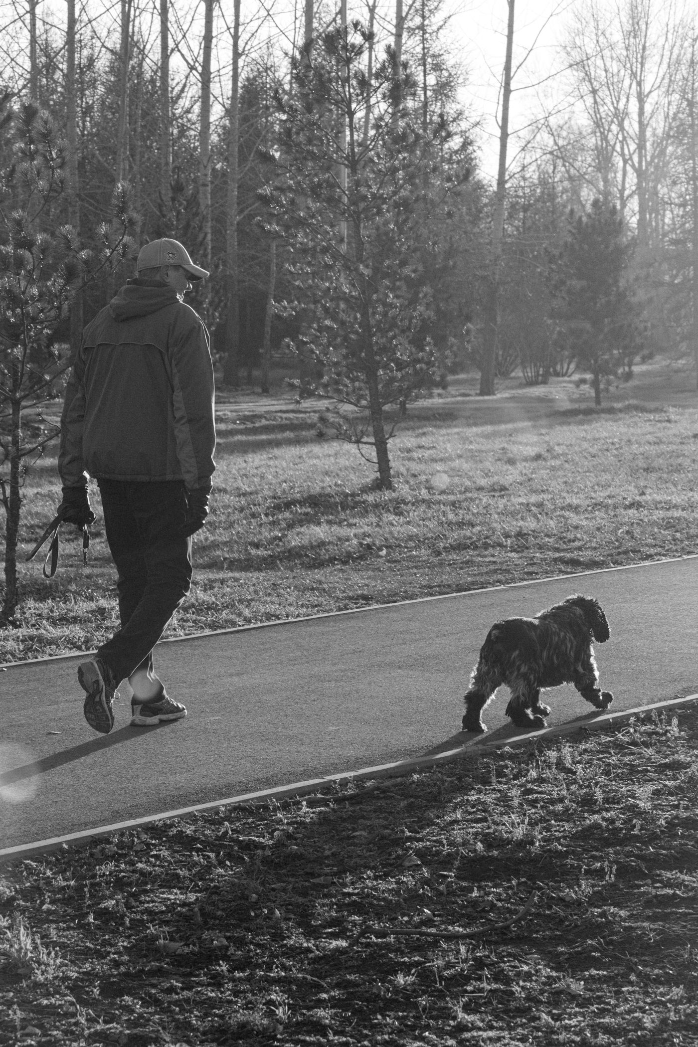 A person walking a dog along a park path.
