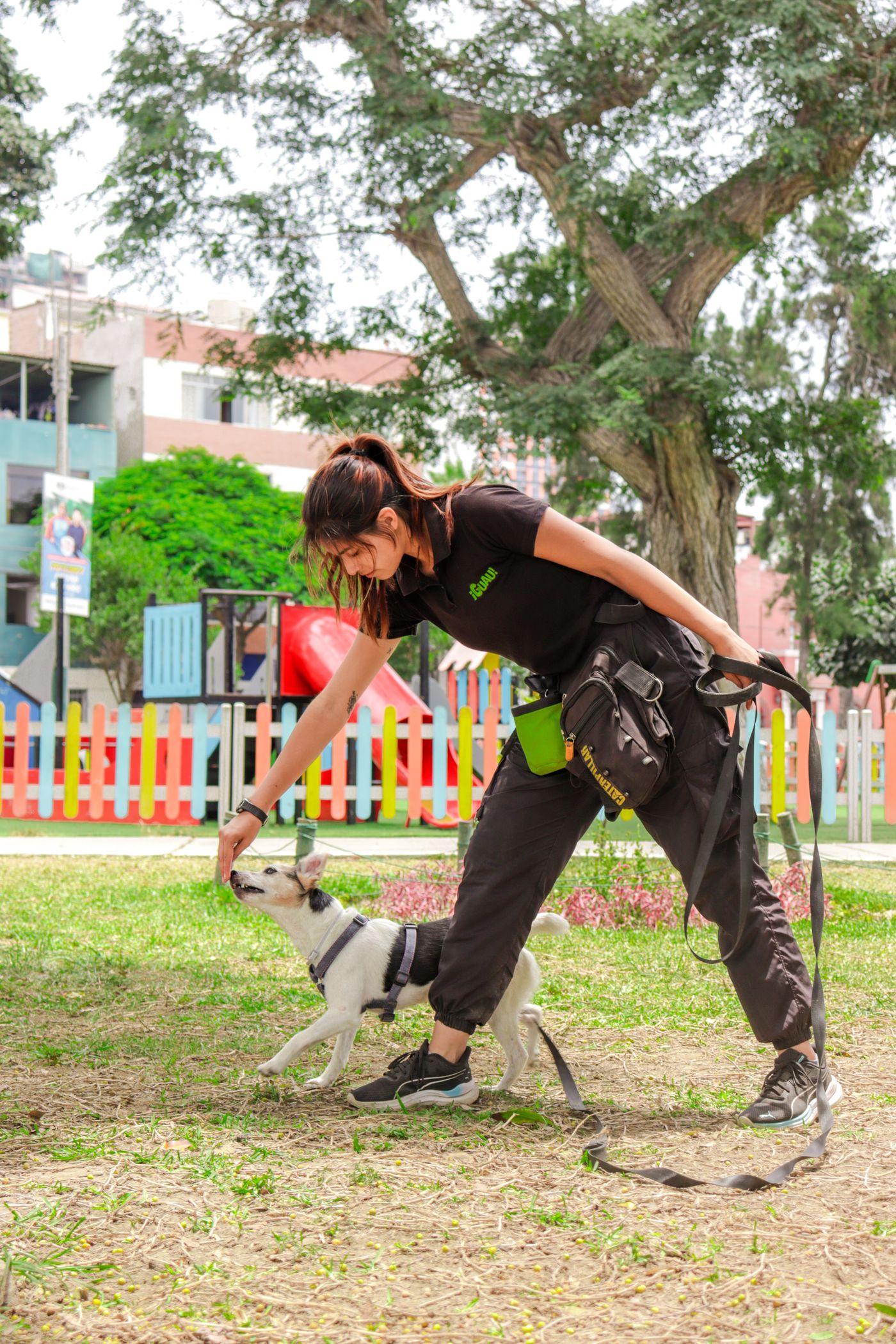 A person practising with a dog in an outdoor training area.