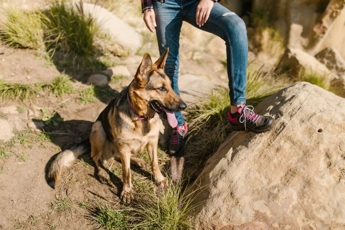 A dog pausing beside its person on a narrow rocky route.