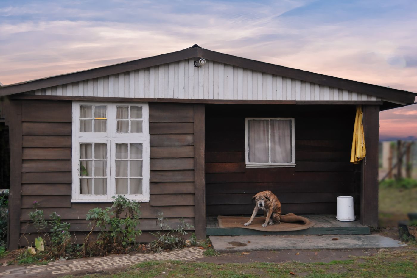 A dog resting outside a small wooden cabin.
