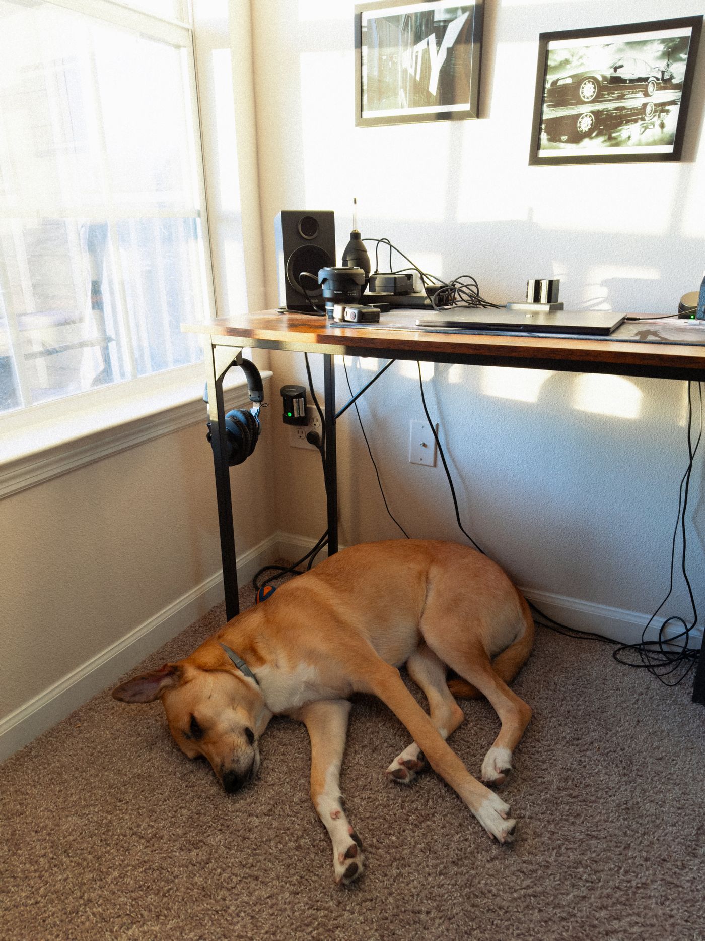 A dog sleeping underneath a home-office desk.