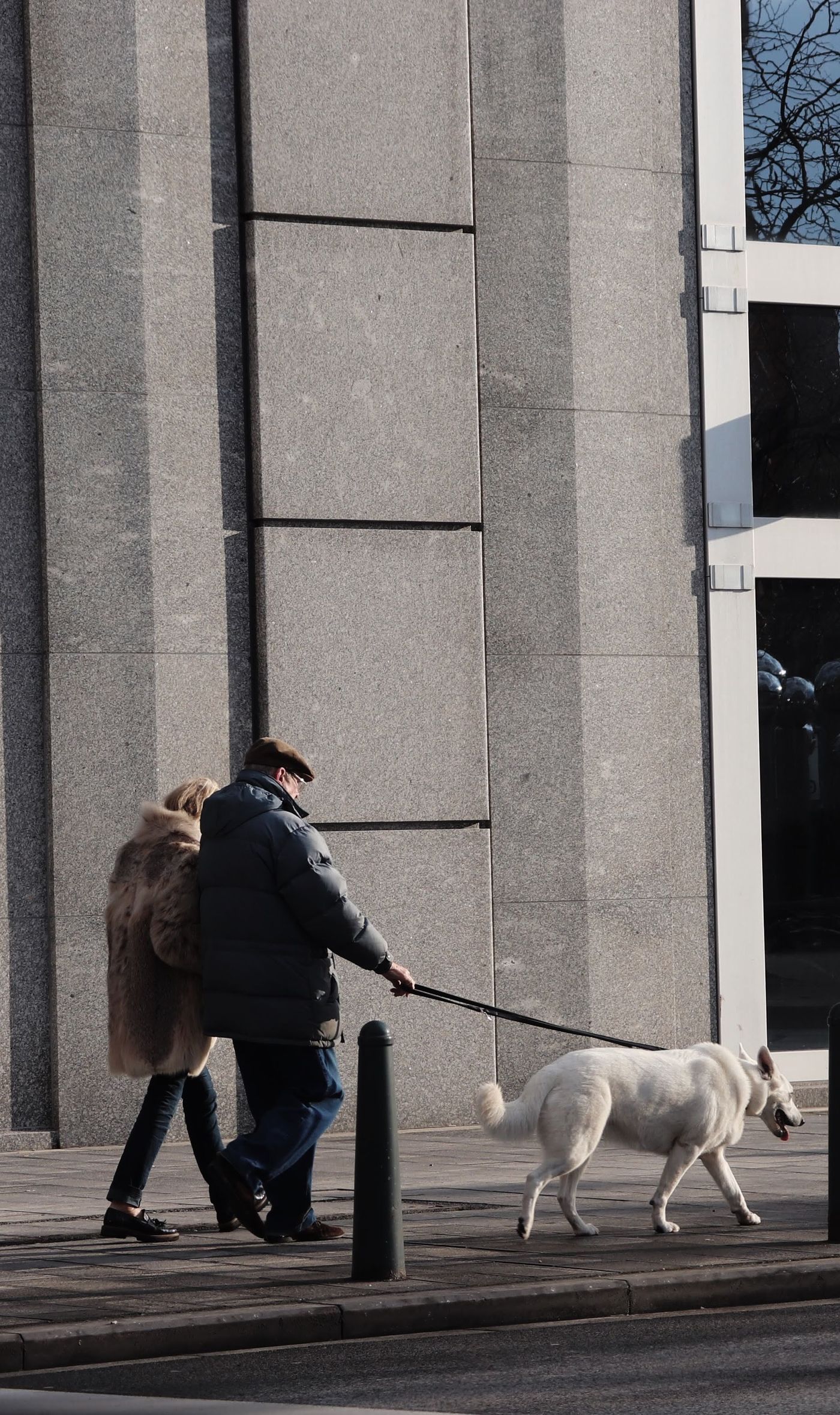 Two people walking their dog beside a building.